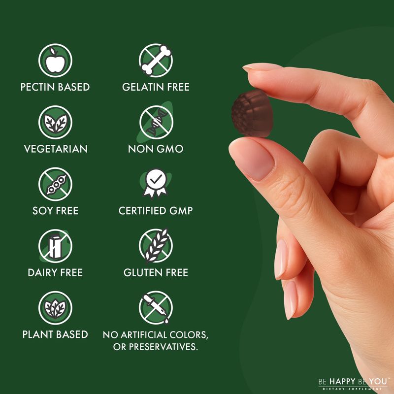 Be Happy Be You Organic Mushroom Sea Moss Gummies – Lion’s Mane, Reishi, Chaga, Cordyceps, Coriolus & Irish Moss – Cognitive & Immune Support – Vegan, Gelatin-Free, Pectin-Based – Watermelon – 90 Ct